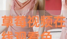 色资源在线观看,揭秘网络色情内容的秘密世界