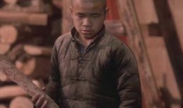 菊豆完整版在线观看,穿越时空的悲欢离合